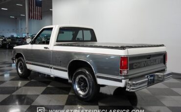 Chevrolet-S-10-Pickup-1991-9