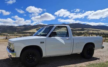 Chevrolet-S10-pickup-1988-1