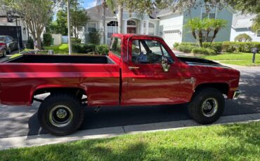 Chevrolet-Silverado-1500-1982-10