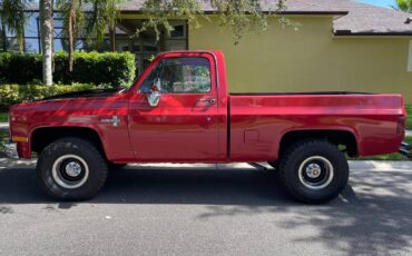 Chevrolet-Silverado-1500-1982-12