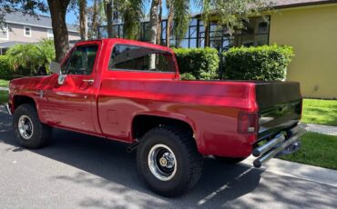 Chevrolet-Silverado-1500-1982-13