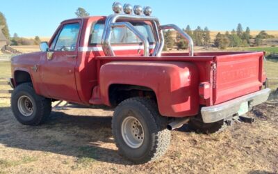 Chevrolet Silverado 1500  1987 à vendre