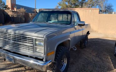 Chevrolet-Silverado-1500-4x4-1984-4