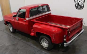 Chevrolet-Silverado-1500-Pickup-1976-10