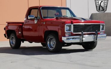 Chevrolet-Silverado-1500-Pickup-1976-6