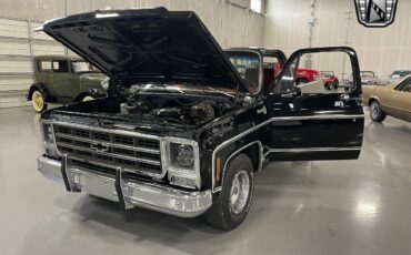 Chevrolet-Silverado-1500-Pickup-1979-8