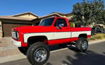 Chevrolet-Silverado-1976-1