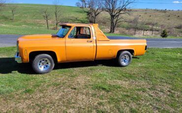 Chevrolet-Silverado-1976-1