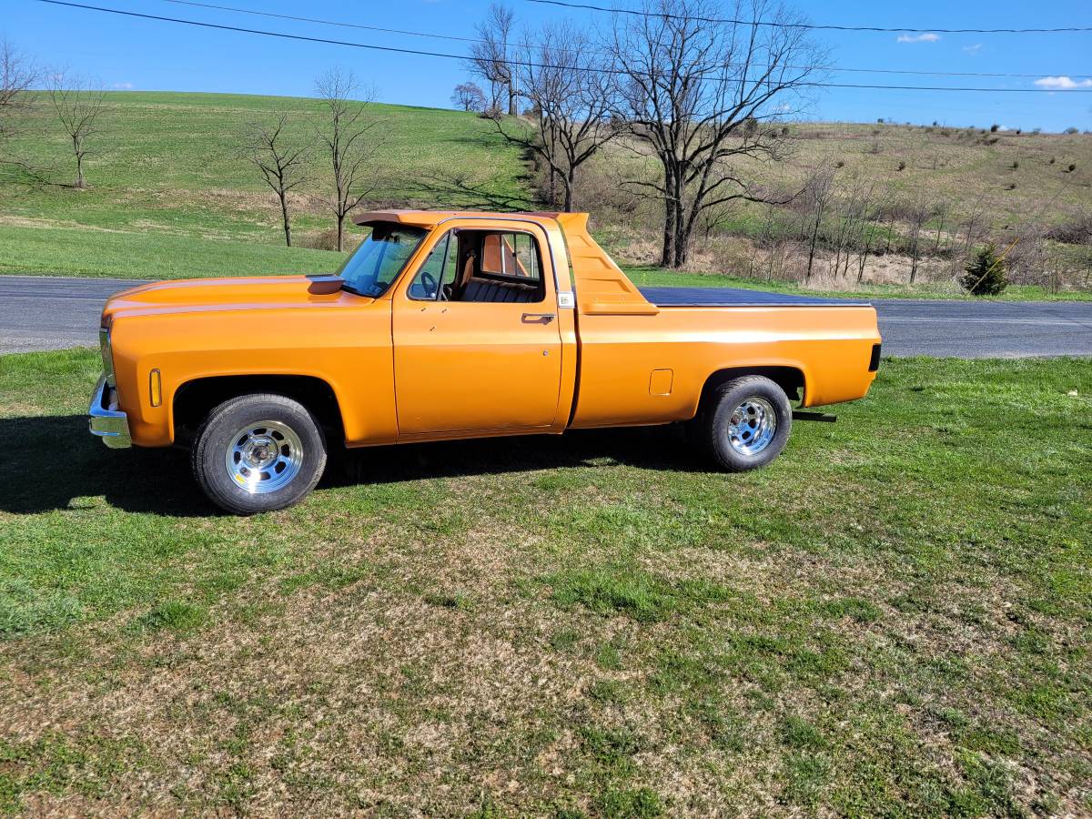 Chevrolet-Silverado-1976-1