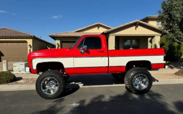 Chevrolet-Silverado-1976-3