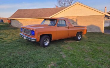 Chevrolet-Silverado-1976-3