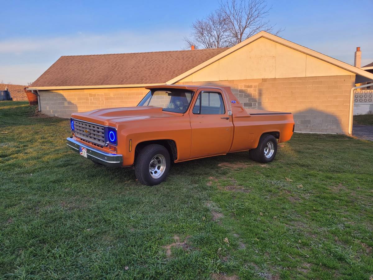 Chevrolet-Silverado-1976-3