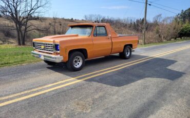 Chevrolet-Silverado-1976