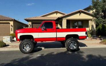 Chevrolet-Silverado-1976-4