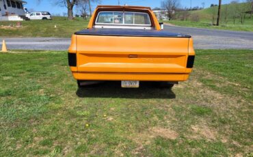 Chevrolet-Silverado-1976-4