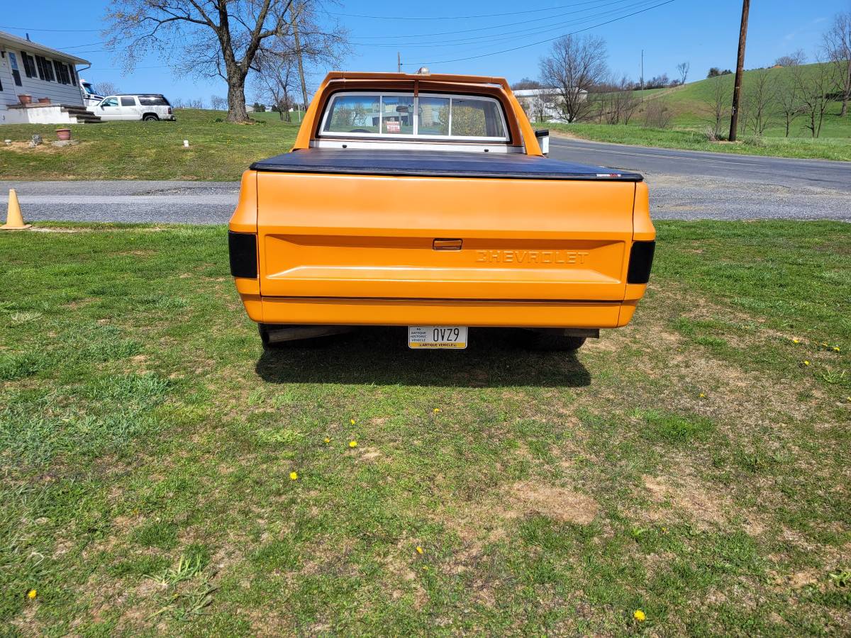 Chevrolet-Silverado-1976-4