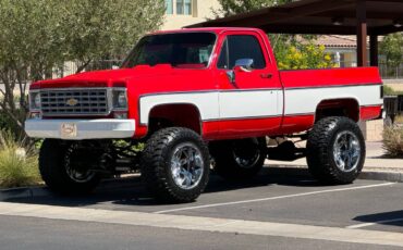 Chevrolet-Silverado-1976-6