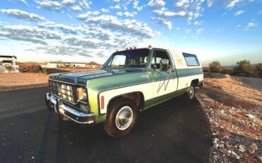 Chevrolet-Silverado-1978-5