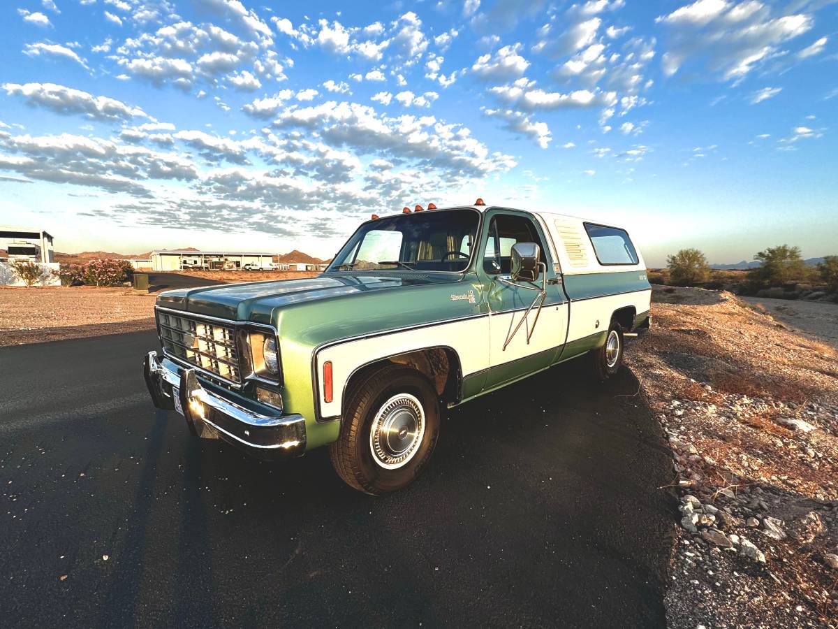 Chevrolet-Silverado-1978-5