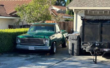 Chevrolet-Silverado-1979-1