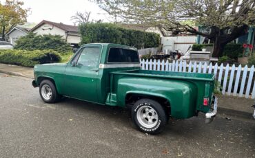 Chevrolet-Silverado-1979-3