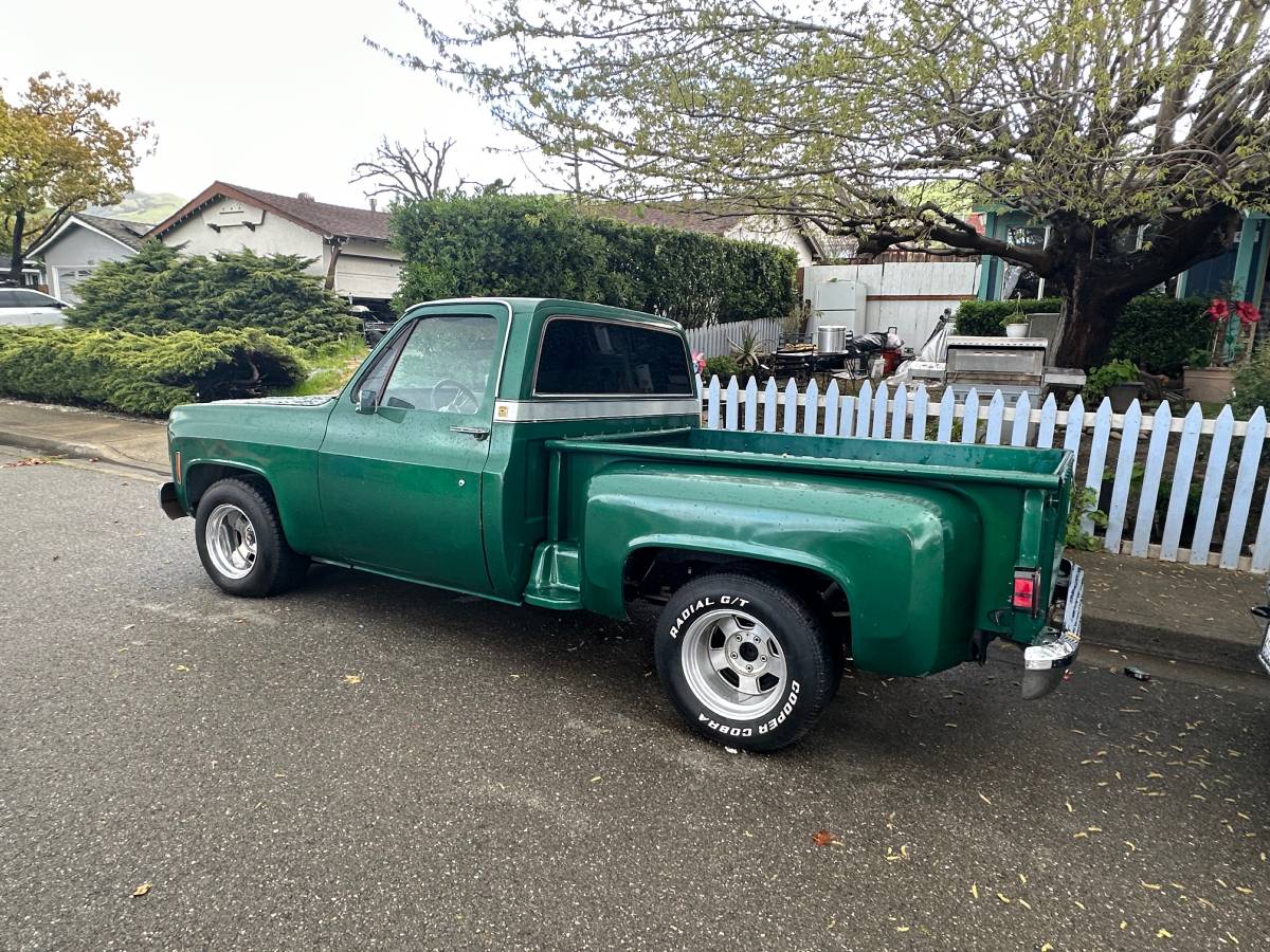 Chevrolet-Silverado-1979-3