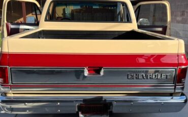 Chevrolet-Silverado-1981-3