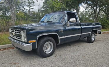 Chevrolet Silverado "C10"  1987