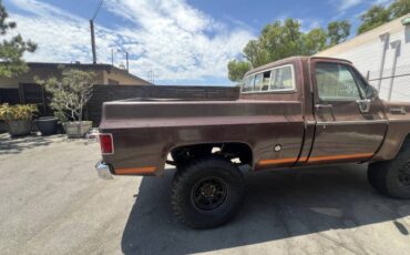 Chevrolet-Silverado-k10-1977-6