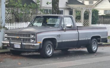 Chevrolet-Silverado-long-box-c10-1981-1