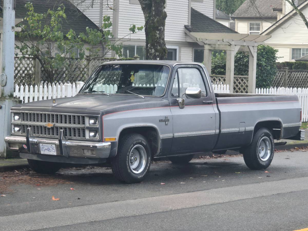 Chevrolet-Silverado-long-box-c10-1981-1