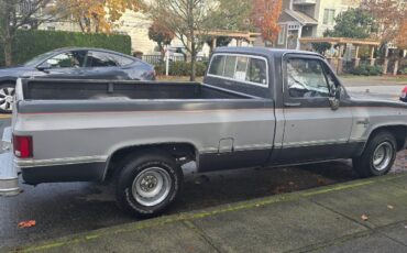 Chevrolet-Silverado-long-box-c10-1981-11