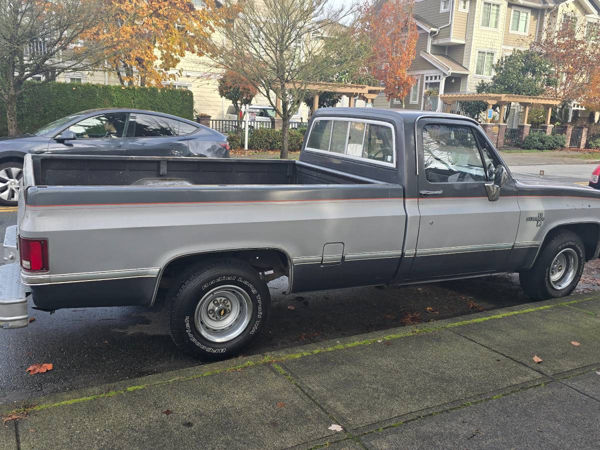 Chevrolet-Silverado-long-box-c10-1981-11