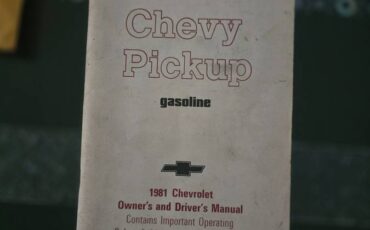 Chevrolet-Silverado-long-box-c10-1981-6