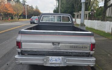 Chevrolet-Silverado-long-box-c10-1981-8