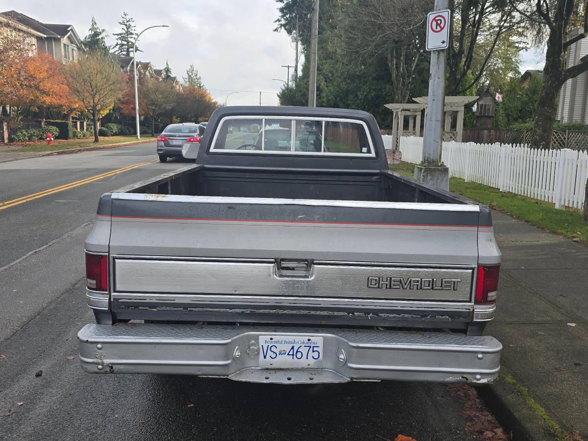 Chevrolet-Silverado-long-box-c10-1981-8