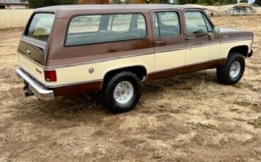 Chevrolet-Suburban-SUV-1977-3