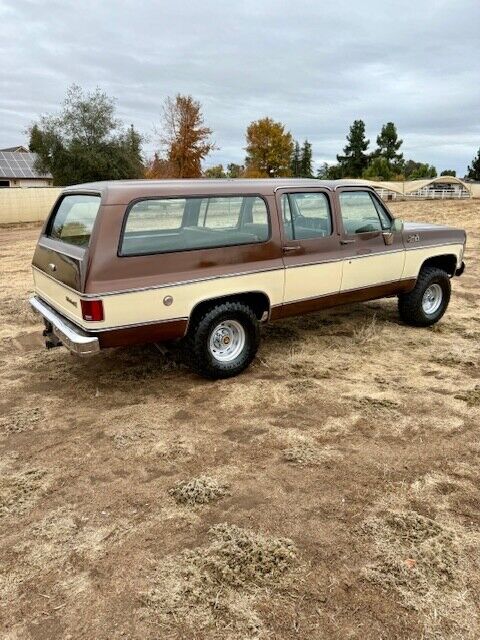 Chevrolet-Suburban-SUV-1977-3