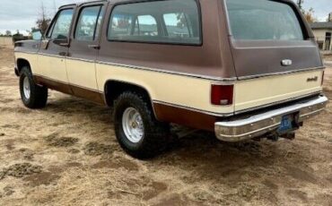 Chevrolet-Suburban-SUV-1977-4