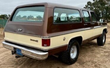 Chevrolet-Suburban-SUV-1977-6