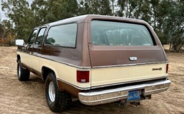 Chevrolet-Suburban-SUV-1977-7