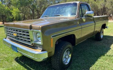 Chevrolet-Truck-1974-1