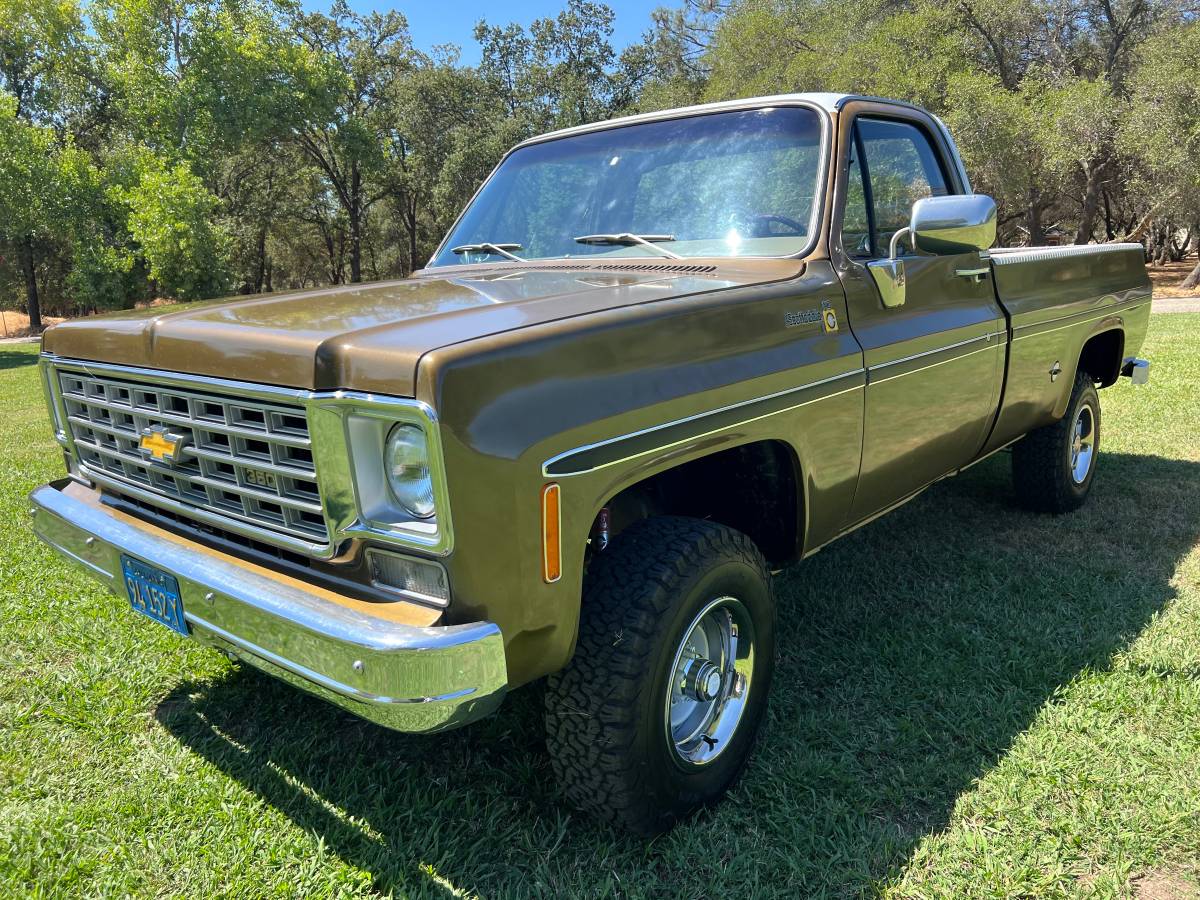 Chevrolet-Truck-1974-1