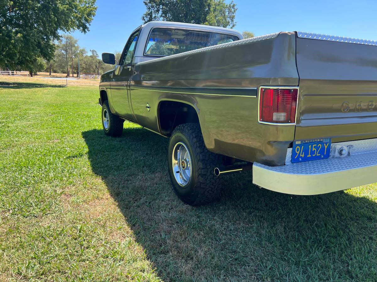 Chevrolet-Truck-1974-2