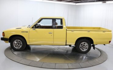 Datsun-Pickup-Pickup-1982-3