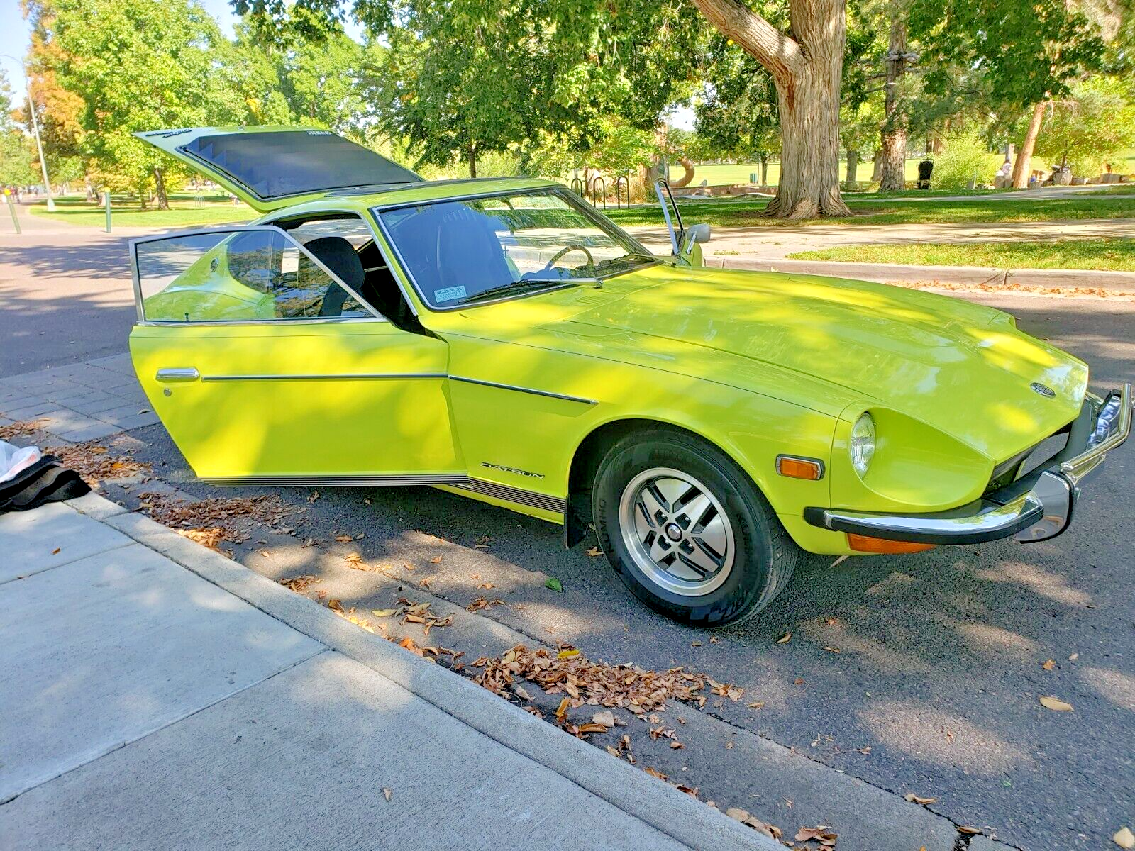 Datsun-Z-Series-1973-7