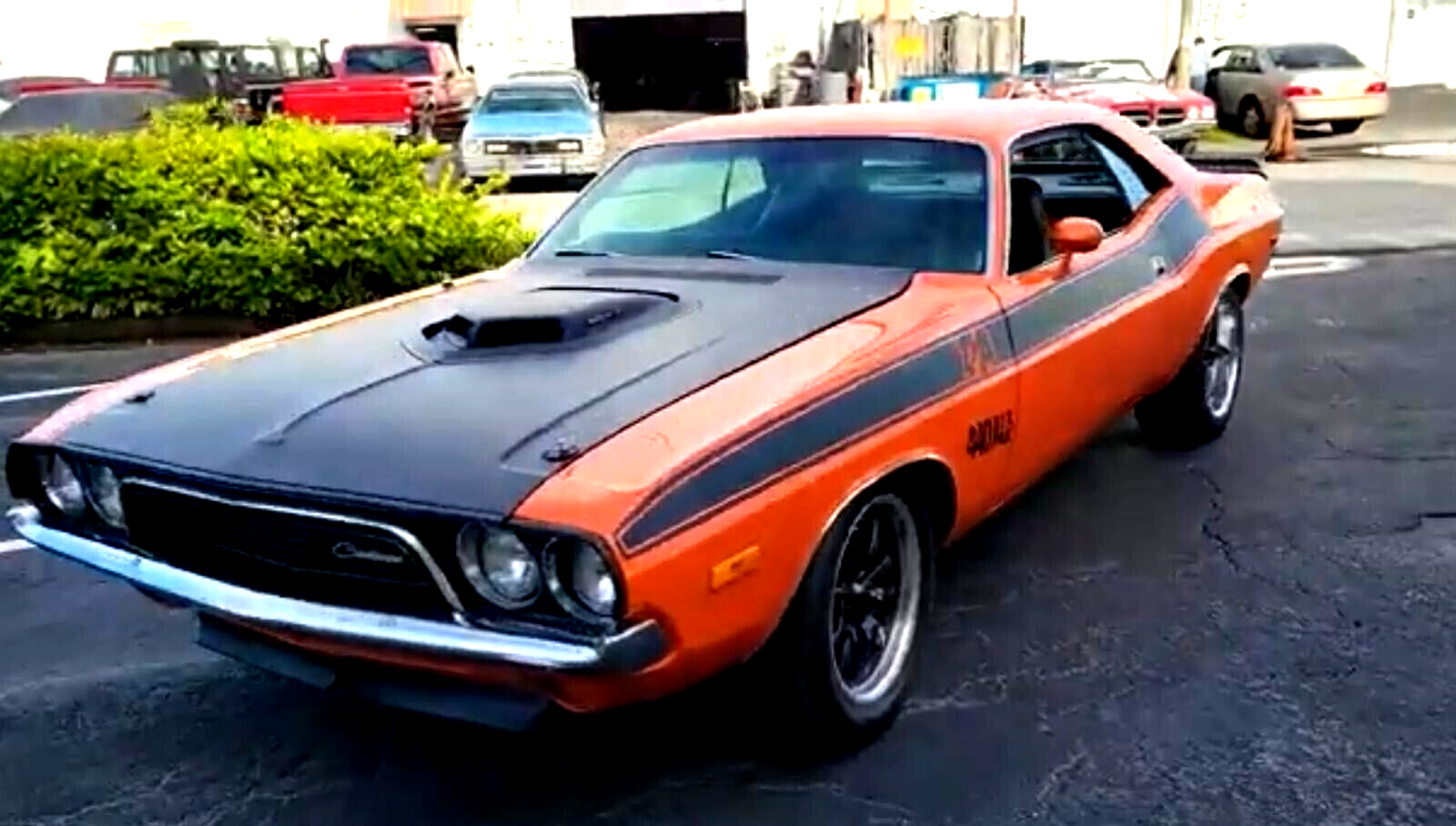 Dodge Challenger  year1}