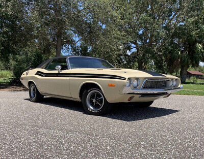 Dodge-Challenger-1973-8