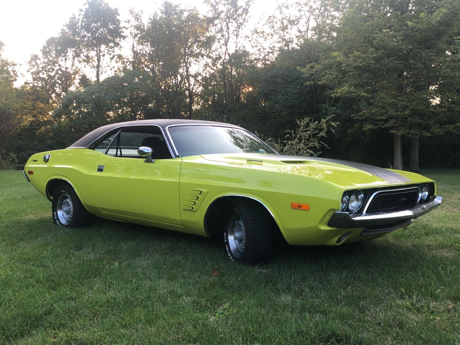 Dodge-Challenger-1974-3