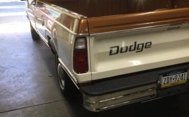 Dodge-Custom-1978-2